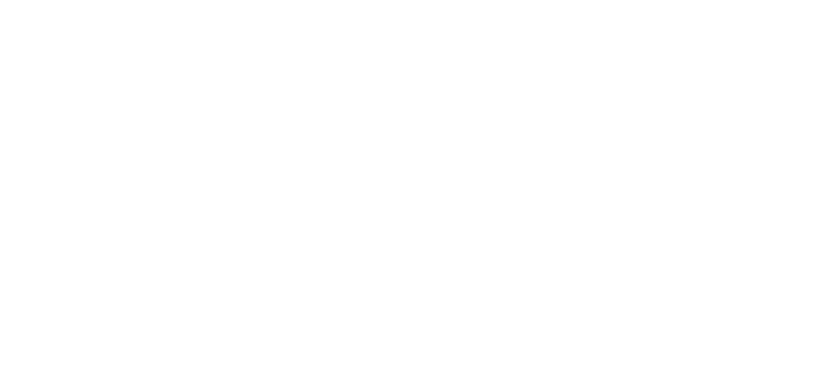 Reference – ZF – BVS Industrie-Elektronik